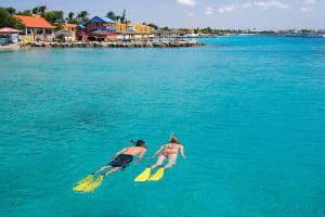 Divi Flamingo Beach Resort and Casino Activities