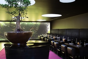 DoubleTree by Hilton Hotel Lisbon - Fontana Park Bonsai