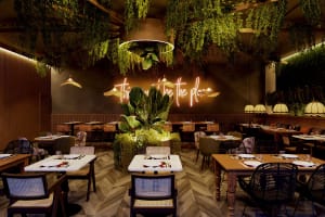 Dreams Playa Esmeralda Resort & Spa Dining