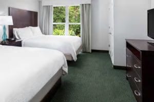 Embassy Suites by Hilton Orlando - Lake Buena Vista Resort Double Suite