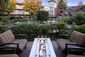 Embassy Suites Hotel Napa Valley Courtyard