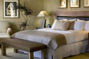 Embassy Suites by Hilton Phoenix - Scottsdale Suite