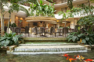Embassy Suites by Hilton San Francisco Airport Dining