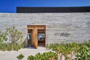 Four Seasons Los Cabos at Costa Palmas Exterior