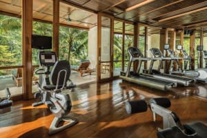 Four Seasons Resort Bali at Sayan - CHSE Certified Gym