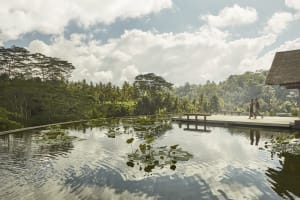 Four Seasons Resort Bali at Sayan - CHSE Certified Pond