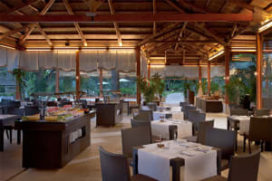 Hotel Don Pepe Gran Melia Dining