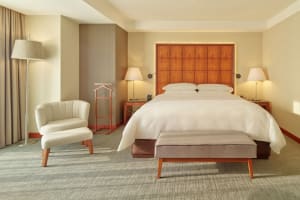 Grand Fiesta Americana Chapultepec King Park View Room