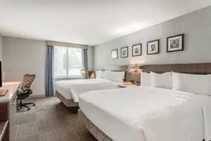 Hilton Garden Inn Philadelphia Center City Room