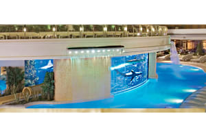 Golden Nugget Las Vegas Hotel & Casino Pool