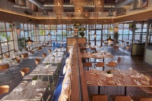 Bahia Principe Grand Punta Cana Fish Market