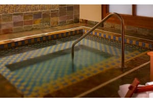 Grand Hyatt Seattle Spa