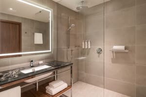 Geneva Marriott Hotel Deluxe Bathroom
