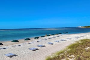 Hyatt Regency Coconut Point Resort & Spa Beach