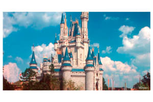 Hilton Orlando Lake Buena Vista - Disney Springs Area Attractions