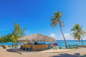 Catalonia Montego Bay