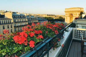 Hotel Napoleon Paris Champs-Elysees