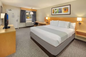 Hotel Nexus, BW Signature Collection King Room