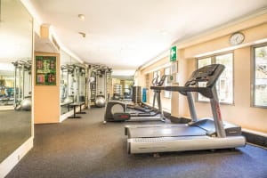 Holiday Inn Potts Point Fitness