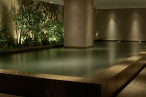 Hyatt Regency Hakone Resort & Spa Hot Spring