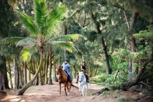The Ritz-Carlton Oahu, Turtle Bay Activity