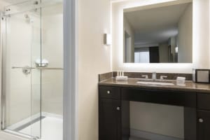Homewood Suites by Hilton Anaheim-Main Gate Area Bathroom