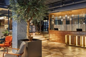 Hotel Indigo Madrid Princesa Lobby