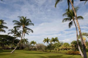 The Islands at Mauna Lani Hotel Grounds