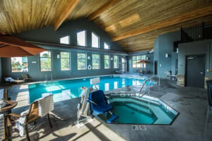 Best Western Premier Ivy Inn & Suites Pool