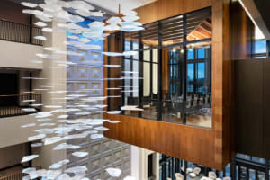 JW Marriott Tampa Water Street Sky Box