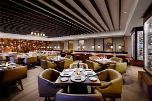 Hard Rock Hotel Los Cabos Restaurant