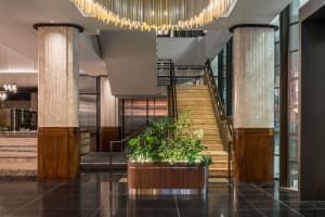 Kimpton Margot Sydney Lobby