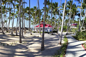 Bahia Principe Luxury Bouganville Beach