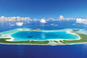 The Brando Aerial