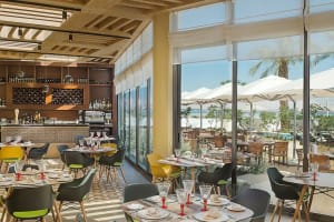 Hilton Dead Sea Resort & Spa Dining