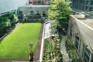 The Logan Philadelphia, Curio Collection by Hilton Courtyard