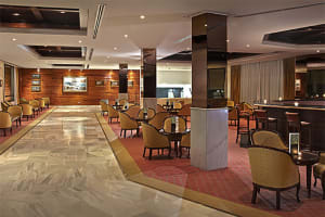 Hotel Melia Costa del Sol Bar