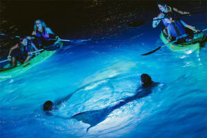 Marriott's Frenchman's Cove Activities