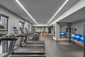 Courtyard Melbourne Flagstaff Gardens Gym