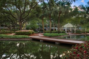 Marriott's Grande Ocean Nature Trail