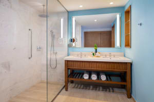 Dreams Cap Cana Resort & Spa Garden View Double Bathroom