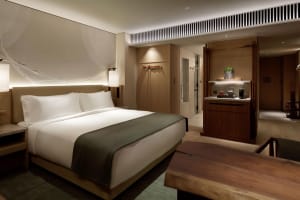 HOTEL THE MITSUI KYOTO, a Luxury Collection Hotel and Spa