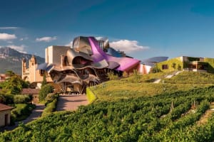 Hotel Marques de Riscal, a Luxury Collection Hotel