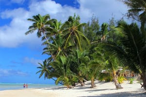Nautilus Resort Beach