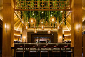 Dreams Jade Resort & Spa Dining