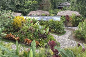Nayara Springs Grounds