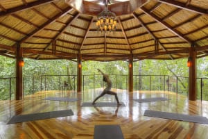 Nayara Springs
