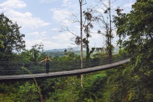 Nayara Tented Camp Bridge