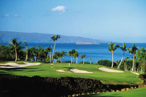 Palms at Wailea Maui Golf