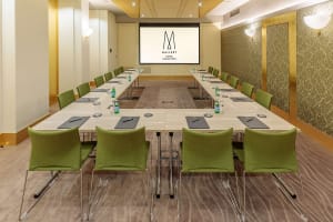 Papadopoli Hotel Venezia - MGallery Collection Meeting Room